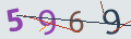 verifycode